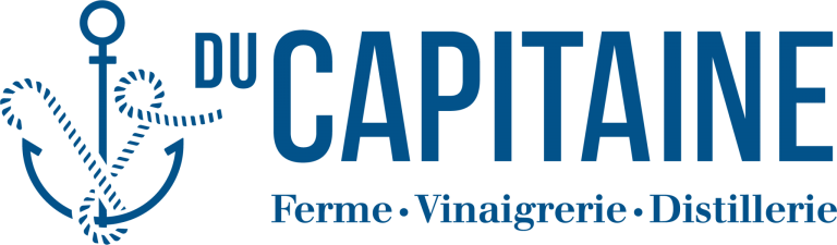 DuCapitaine LogoBleuH RVB HR 2048x600 1 1 768x225
